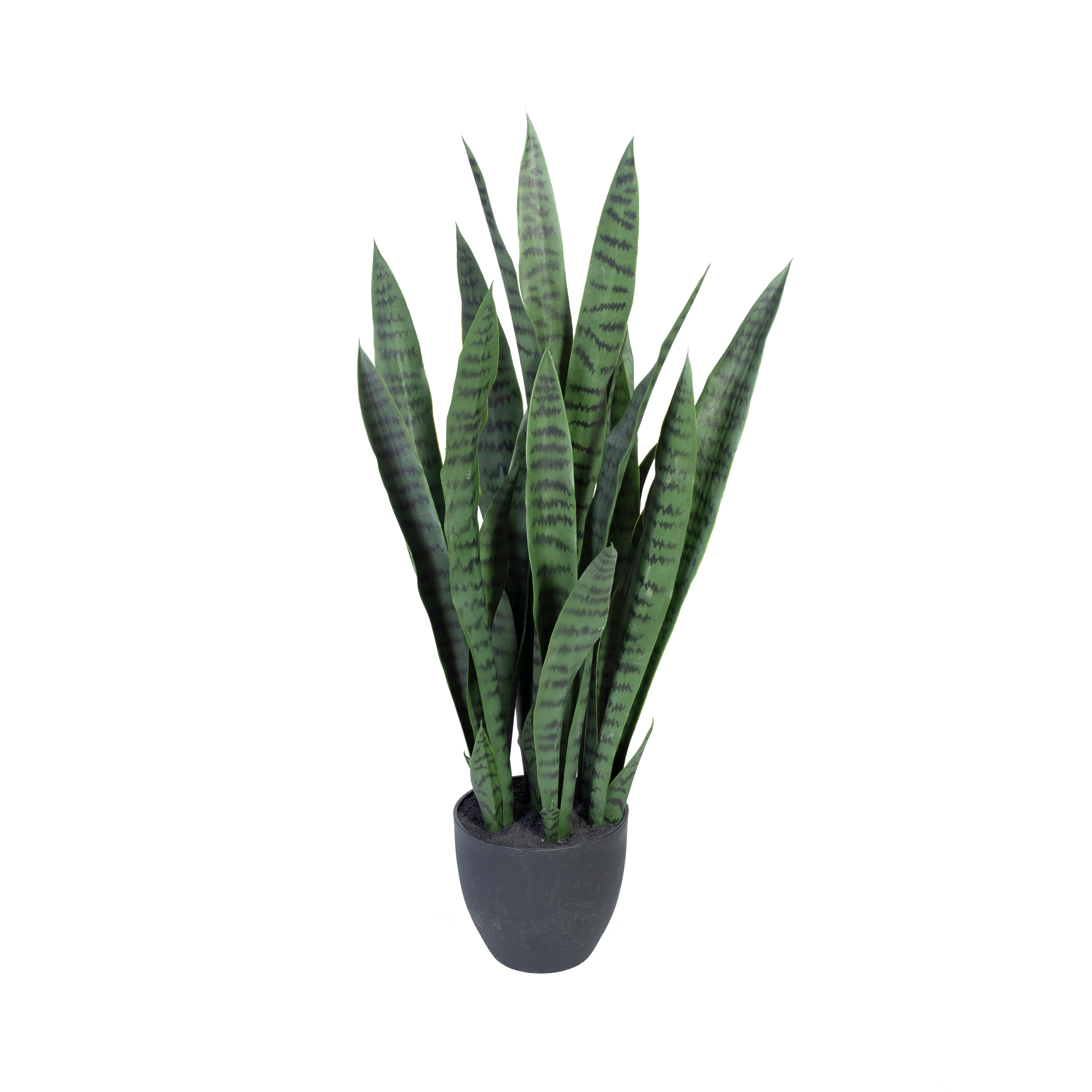 Display product Artificial Plants | Sansiveria incl. black pot from manufacturer Götessons