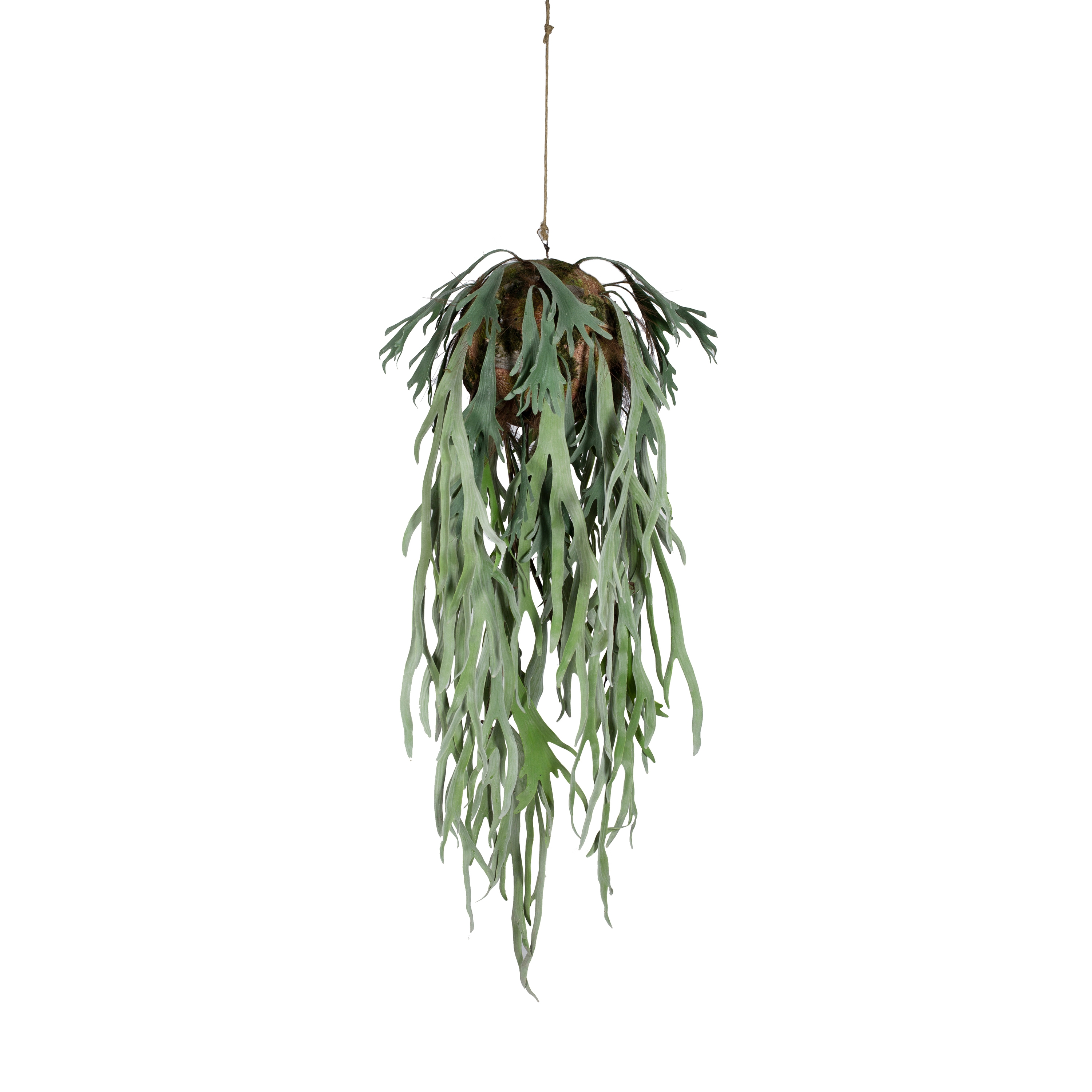 Display product Artificial Plants | Elk Horn Fern from manufacturer Götessons