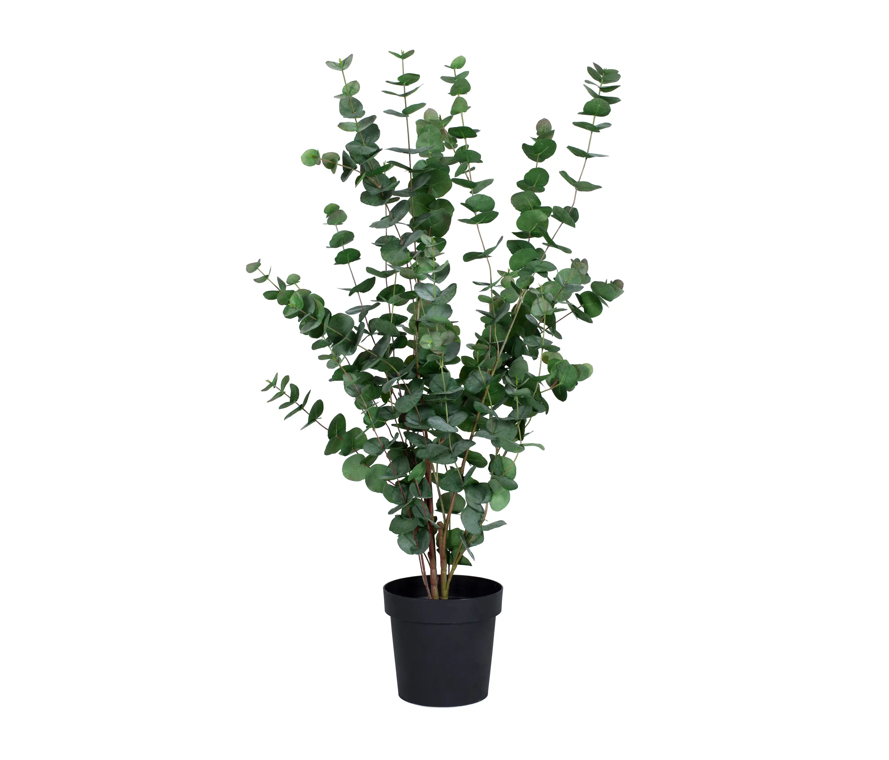 Götessons - Artificial Plants | Eucalyptus in a pot large
