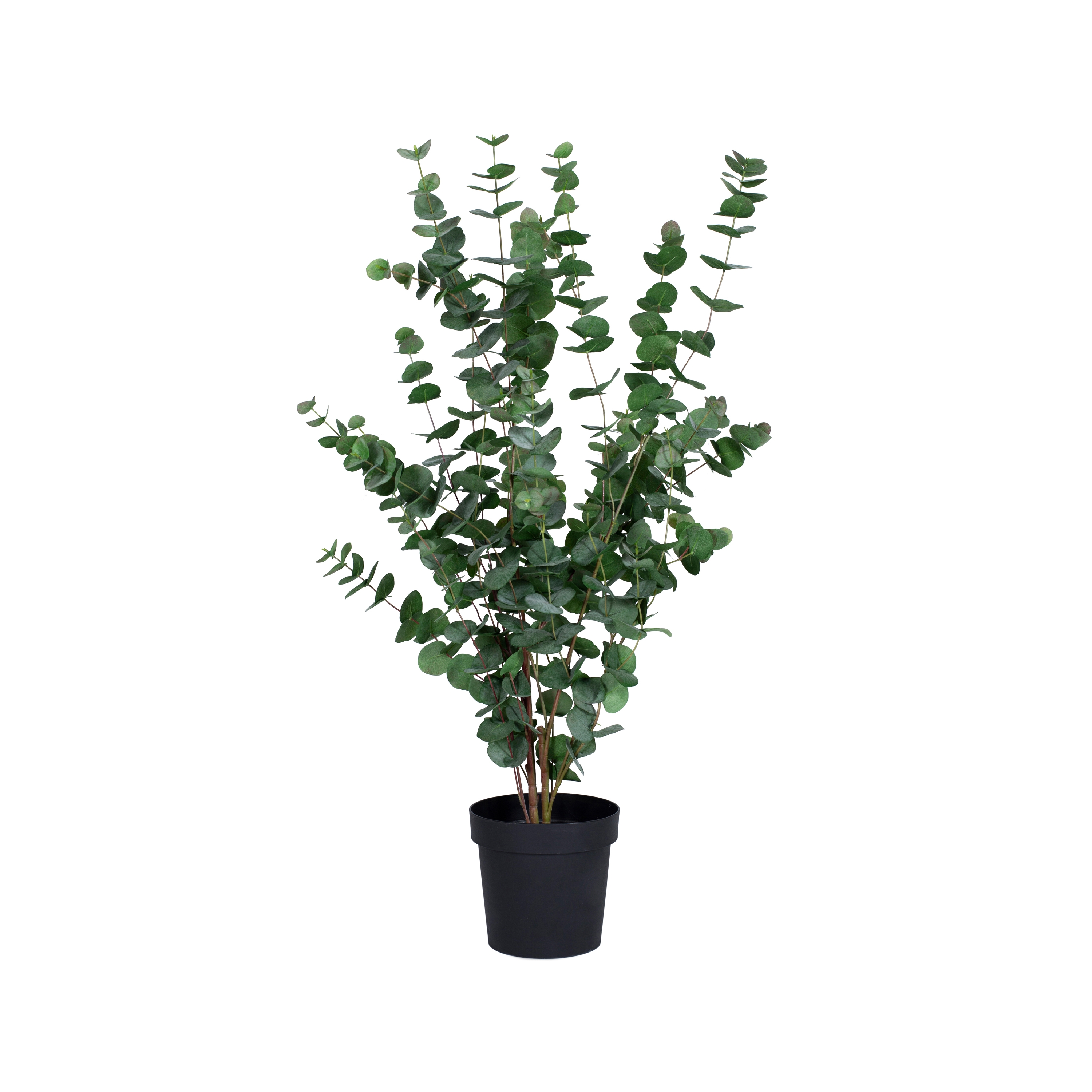 Display product Artificial Plants | Eucalyptus in a pot large from manufacturer Götessons