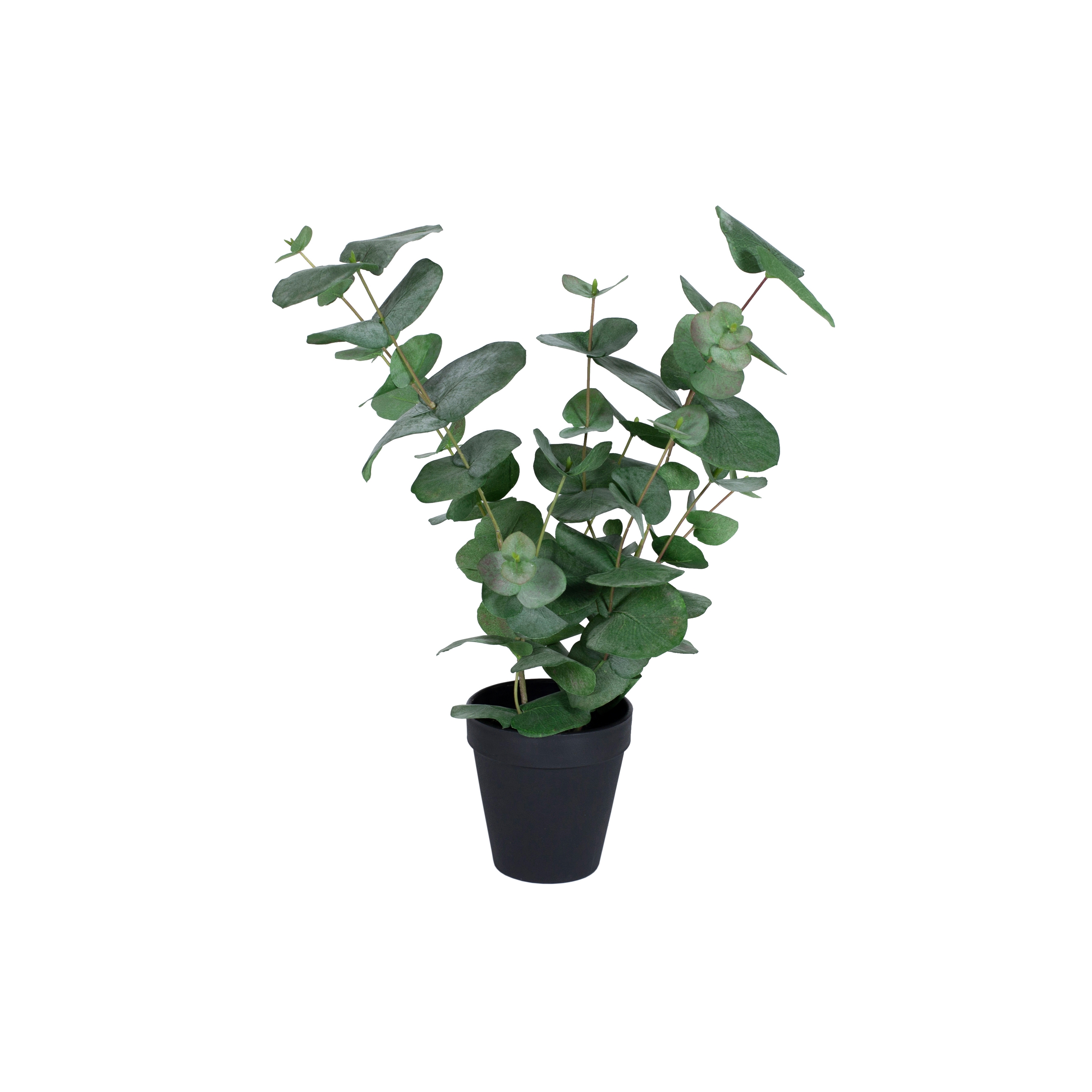 Display product Artificial Plants | Eucalyptus in a pot small from manufacturer Götessons