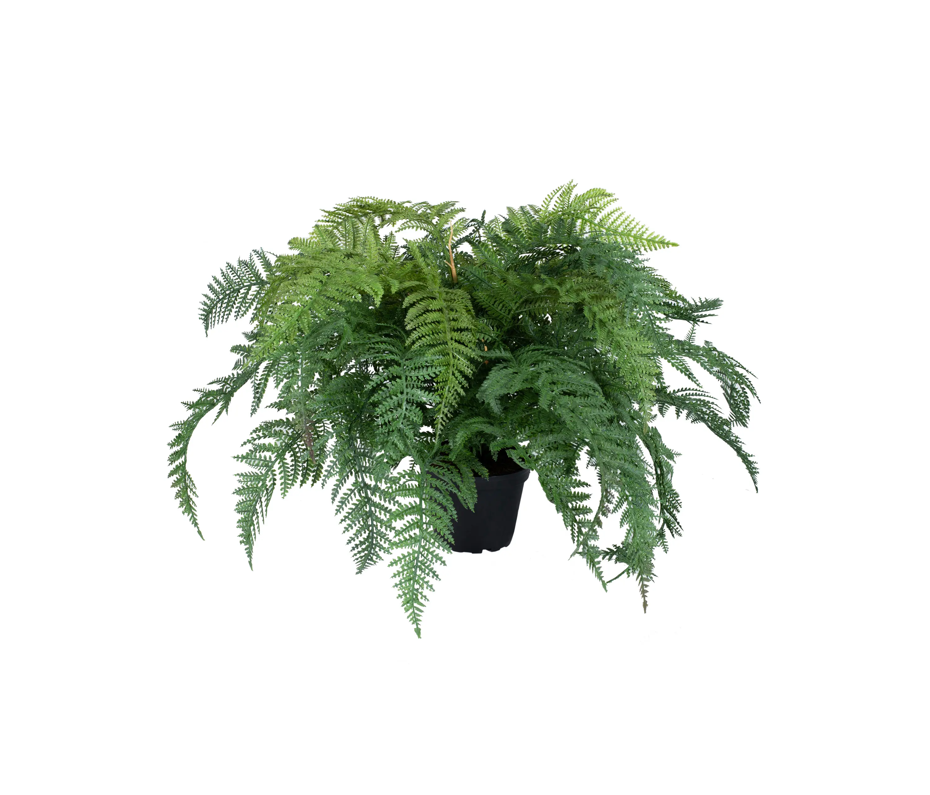 Götessons - Artificial Plants | Fern