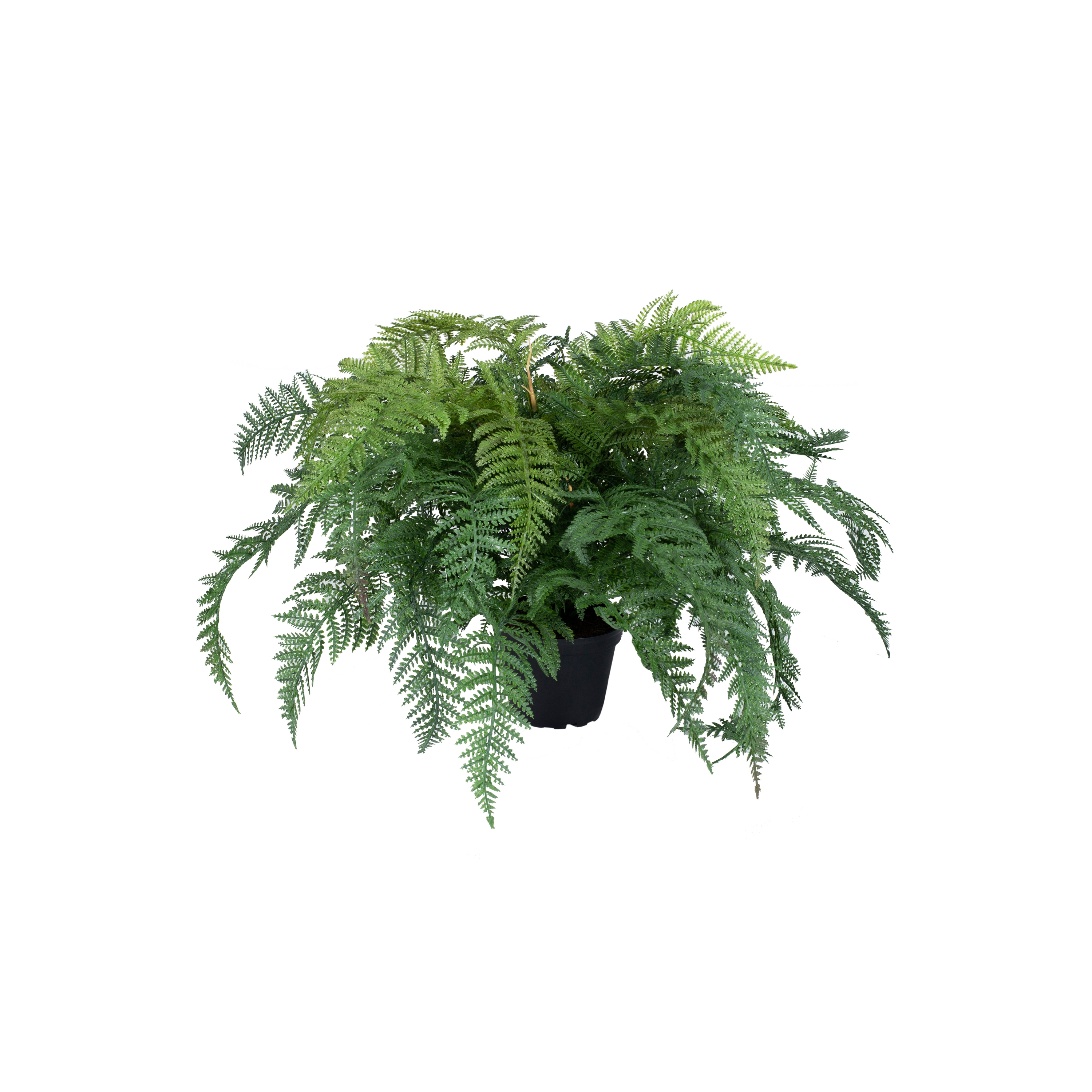 Display product Artificial Plants | Fern from manufacturer Götessons