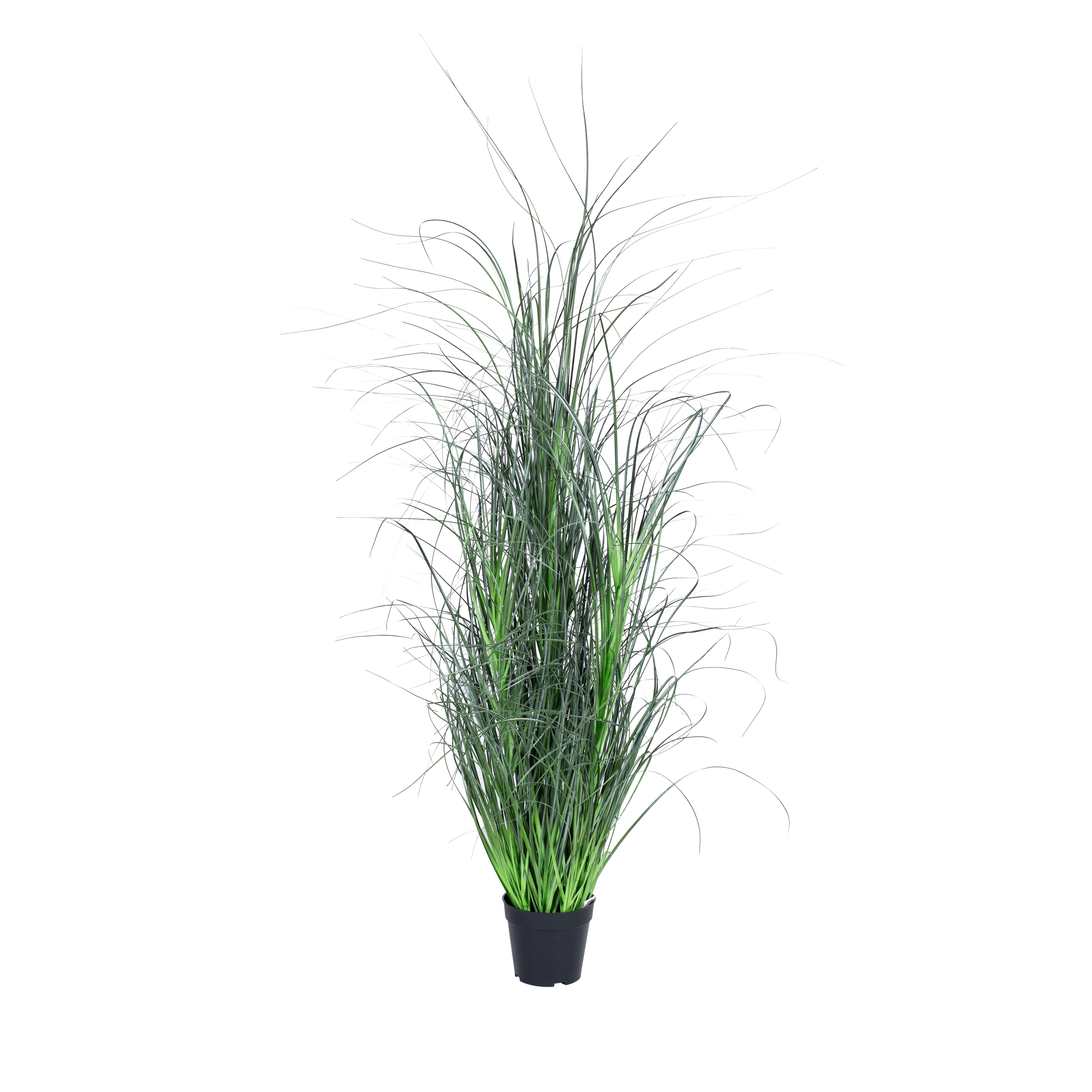 Display product Artificial Plants | Grass Miscanthus from manufacturer Götessons