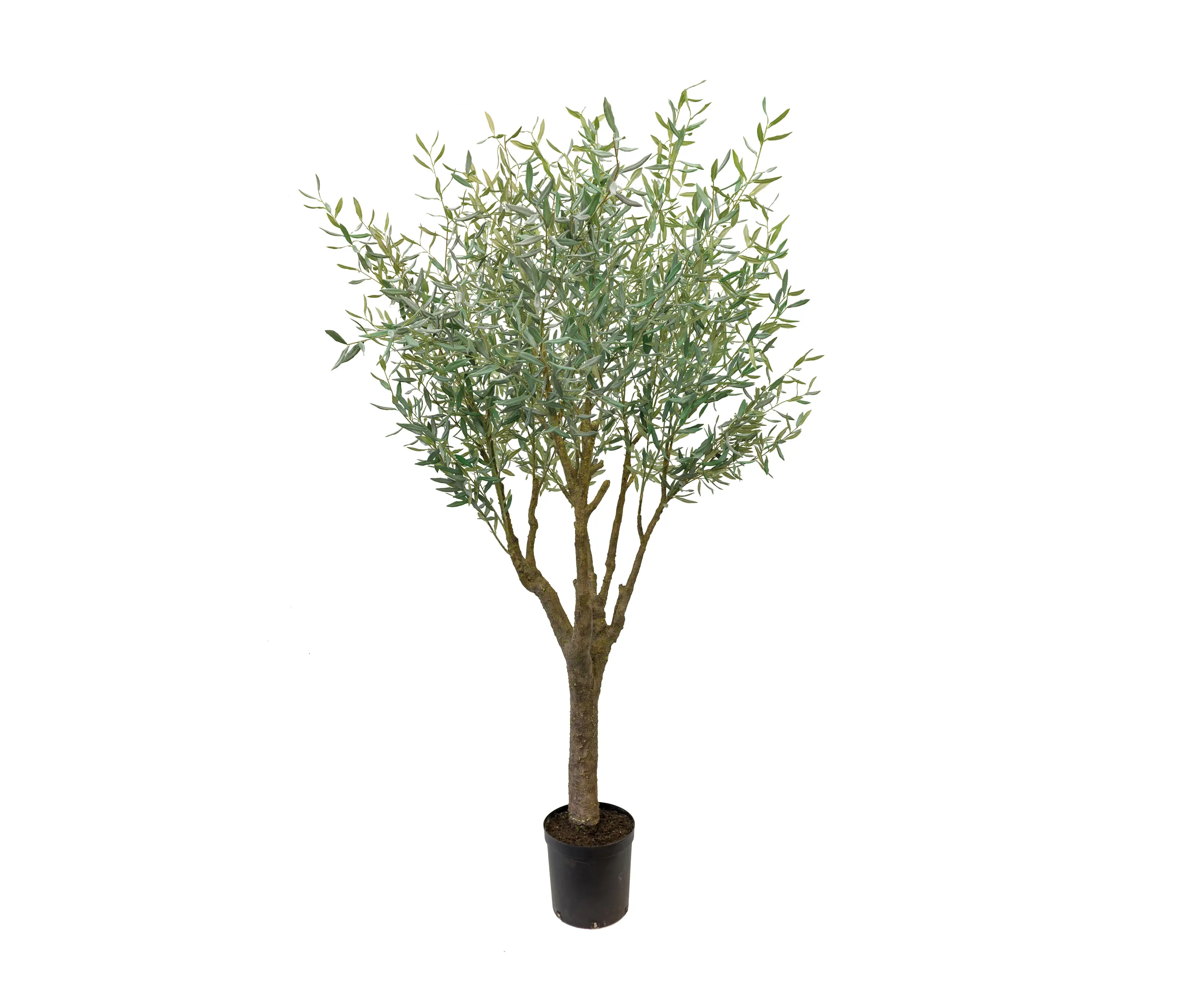 Götessons - Artificial Plants | Olive Tree