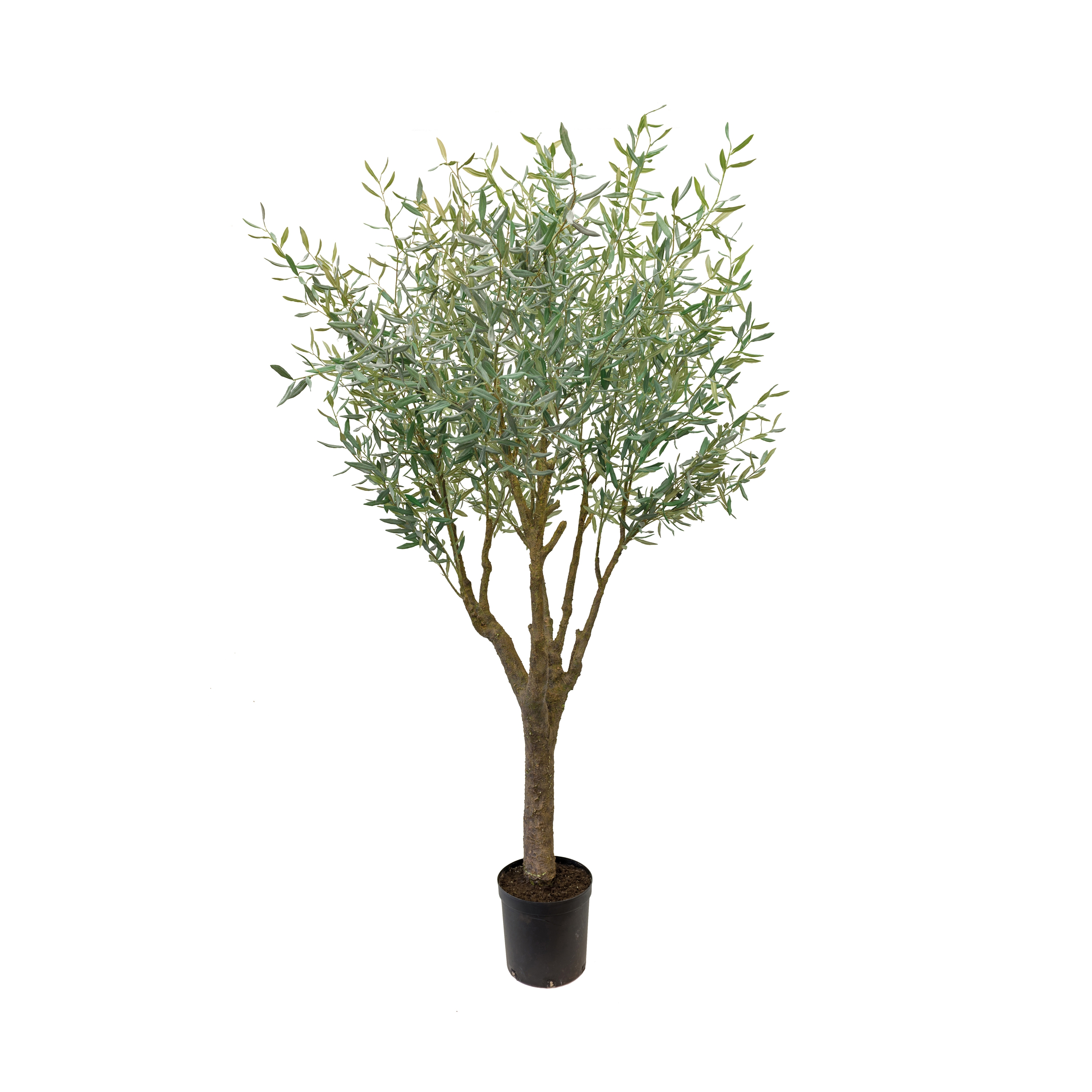 Display product Artificial Plants | Olive Tree from manufacturer Götessons