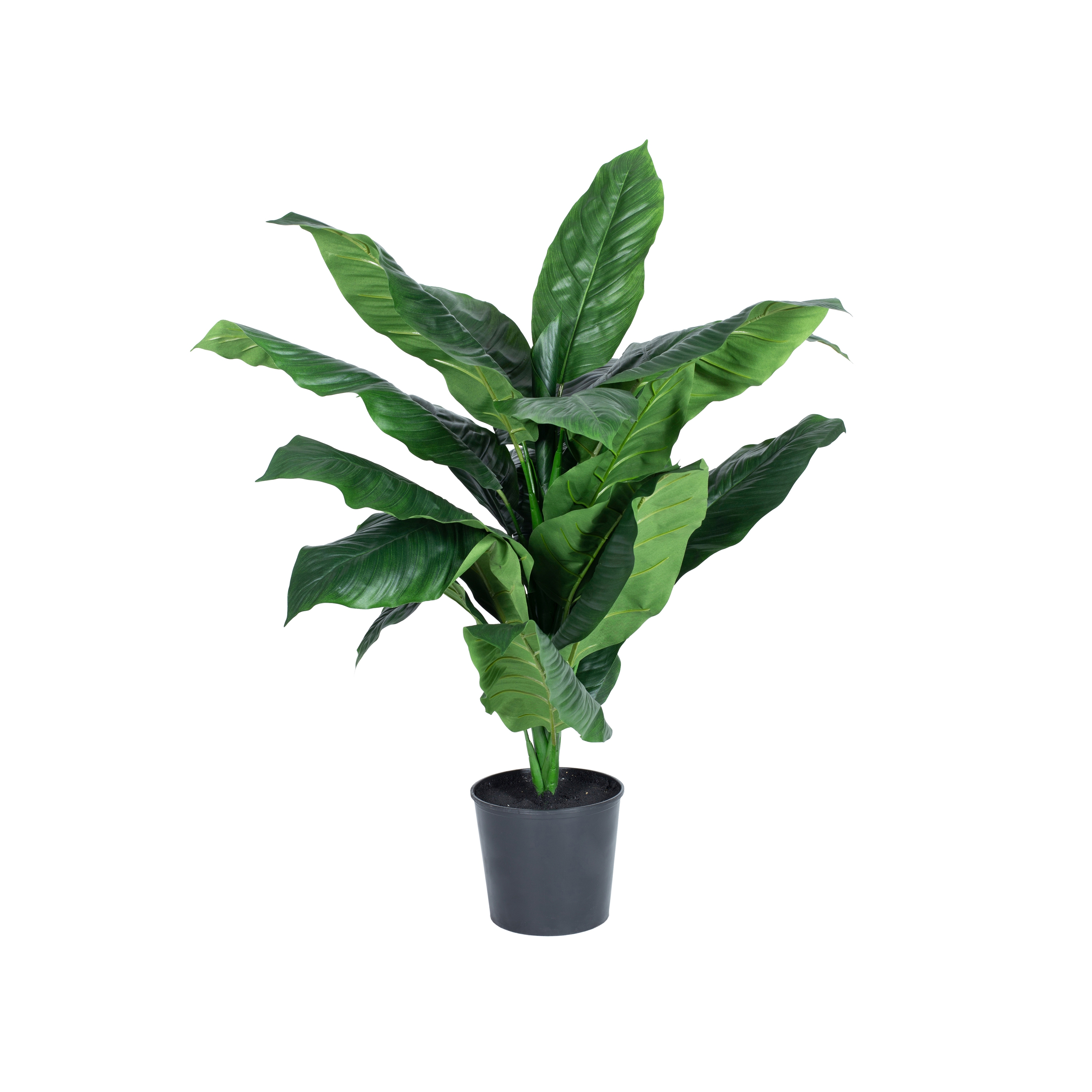 Display product Artificial Plants | Peace Lily from manufacturer Götessons
