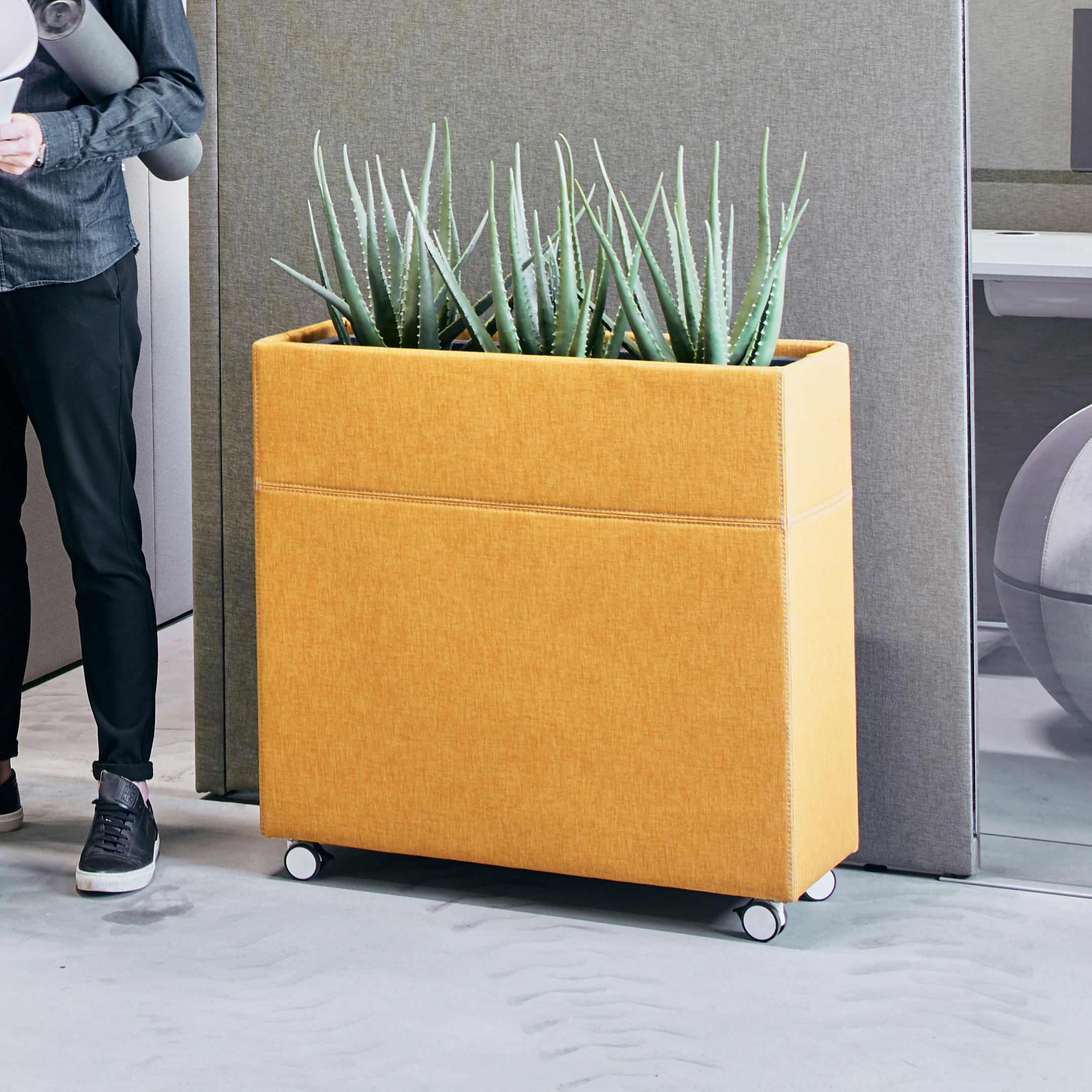 Display product Plant Divider from manufacturer Götessons
