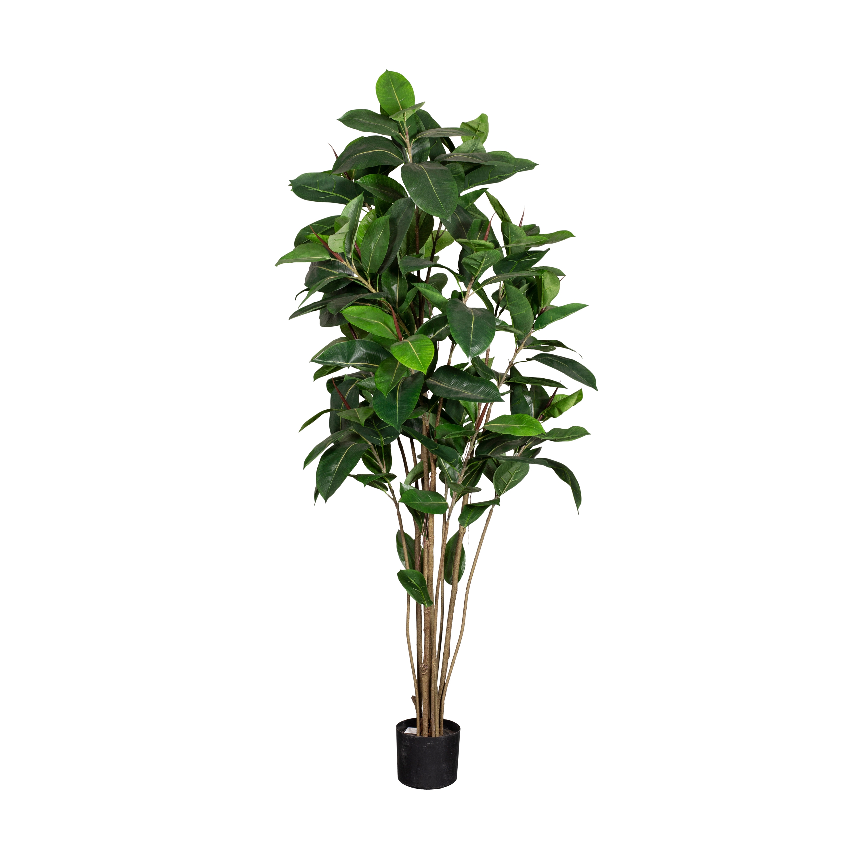 Display product Artificial Plants | Ficus Robusta from manufacturer Götessons
