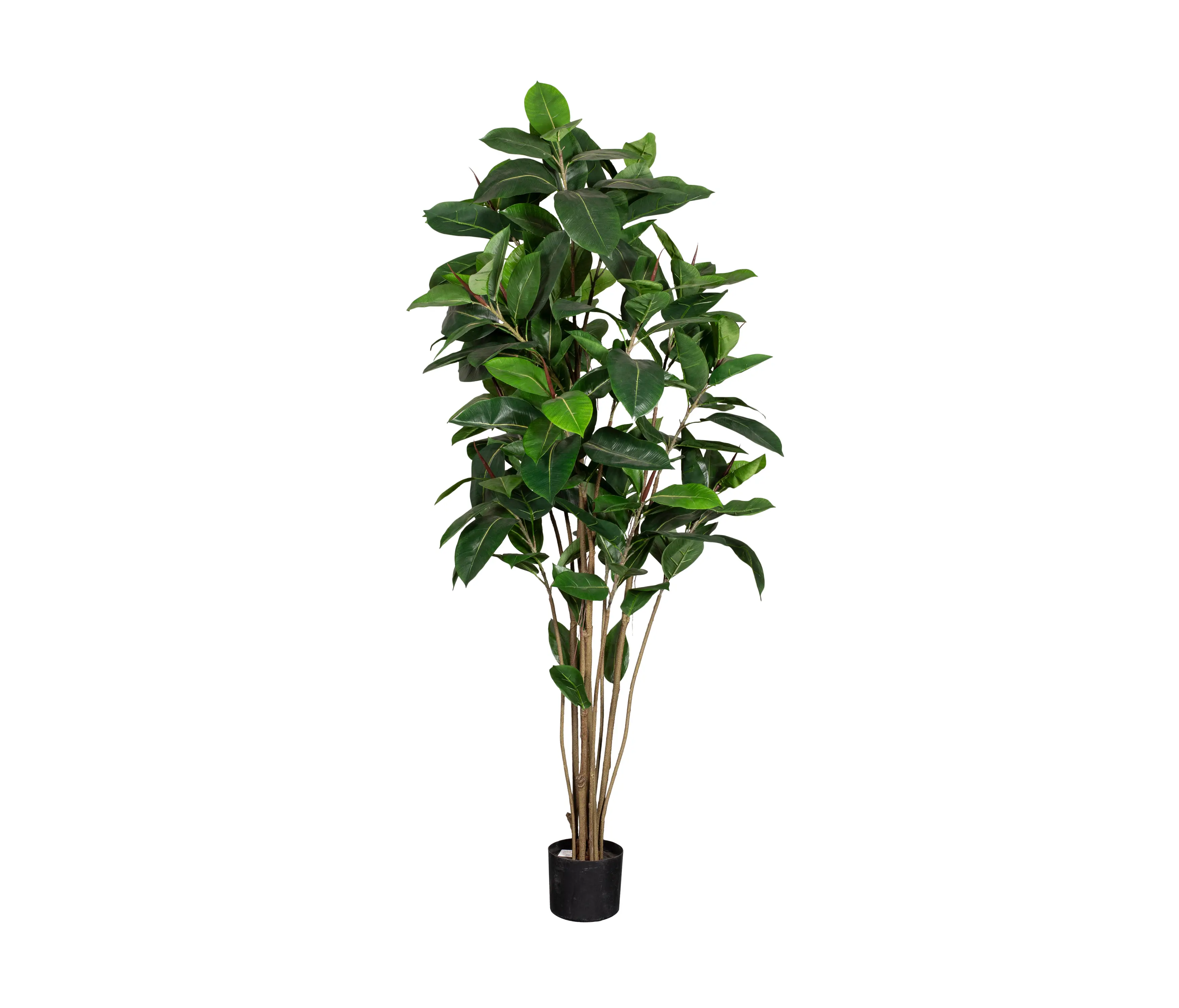 Götessons - Artificial Plants | Ficus Robusta