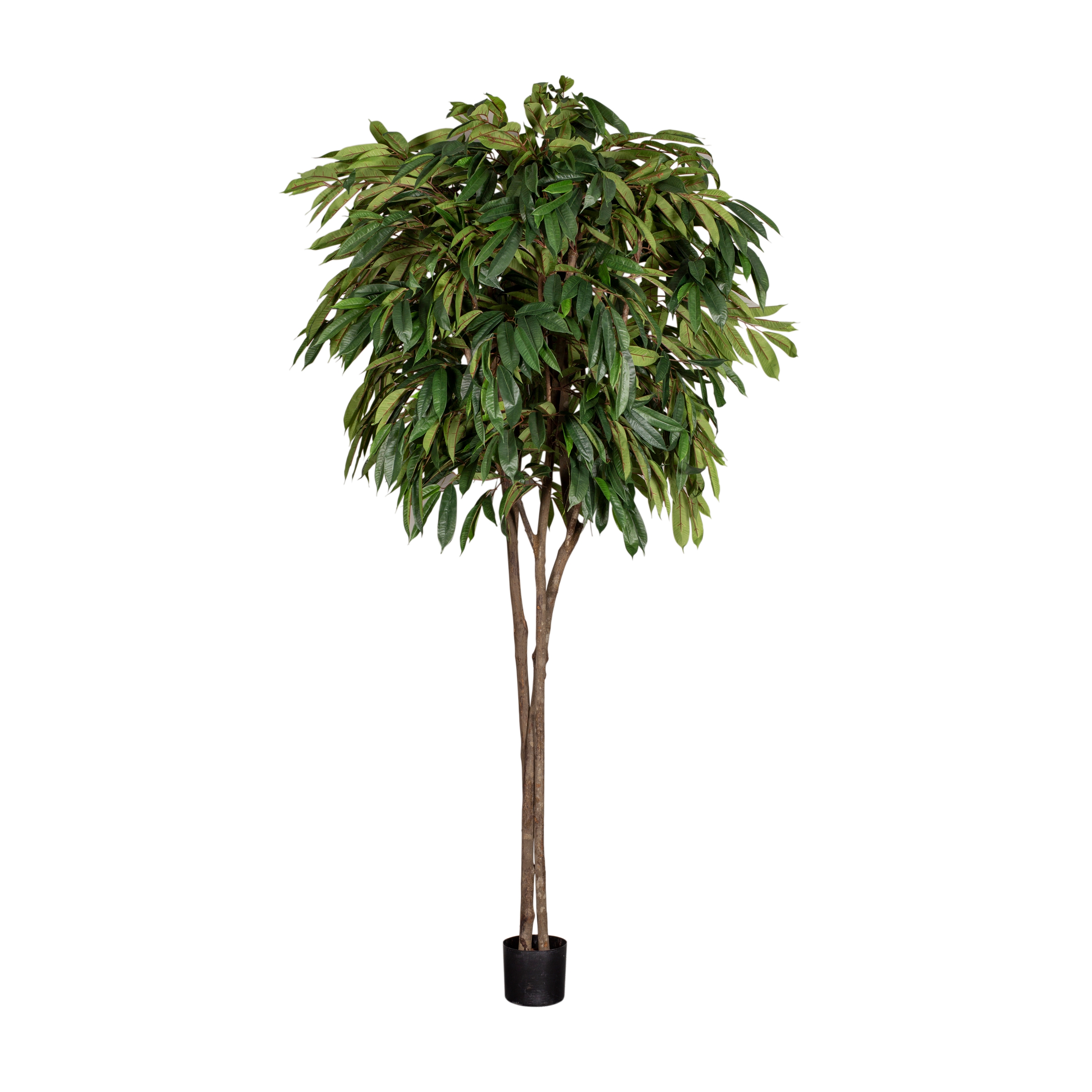 Display product Artificial Plants | Longifolia from manufacturer Götessons