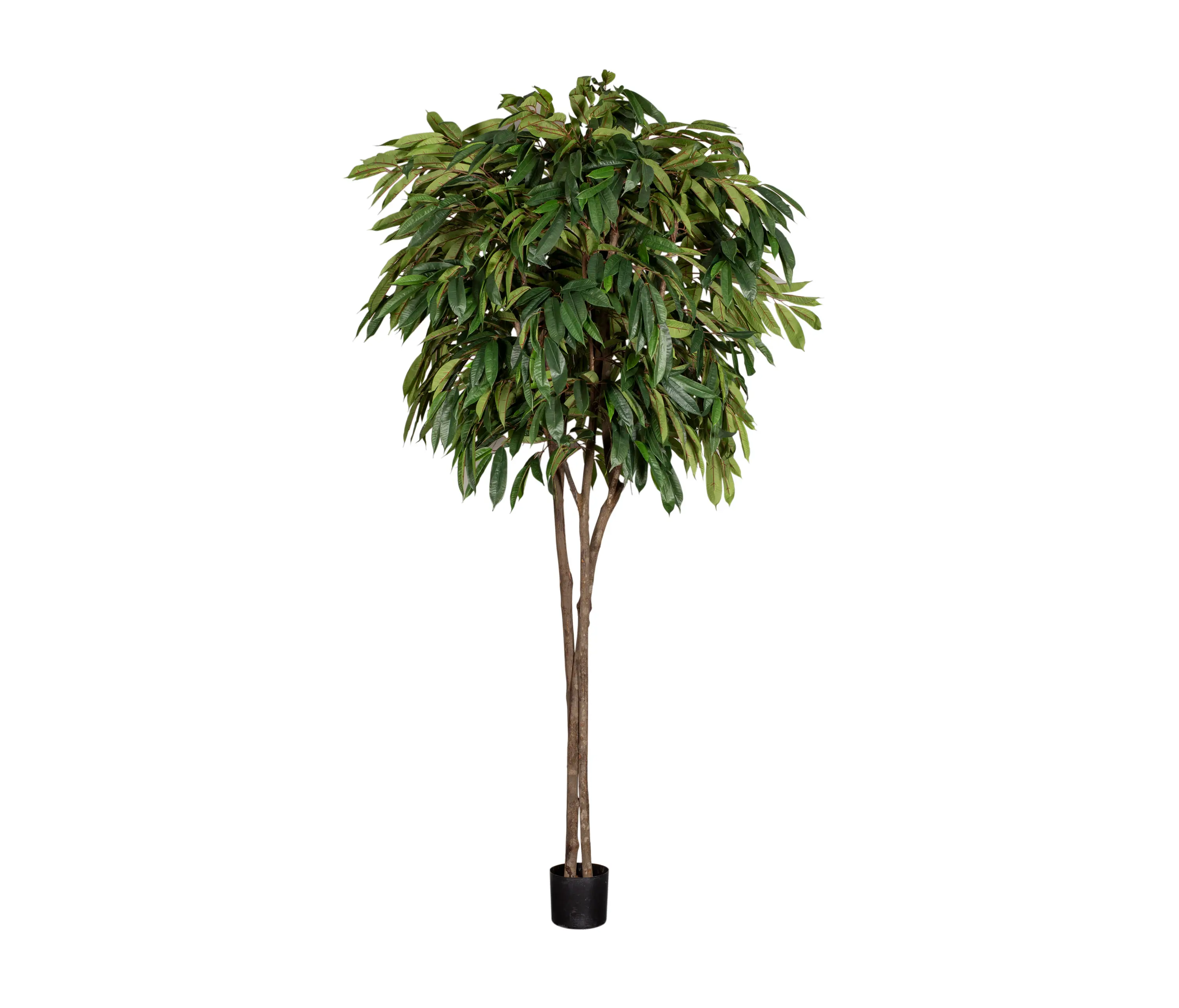 Götessons - Artificial Plants | Longifolia