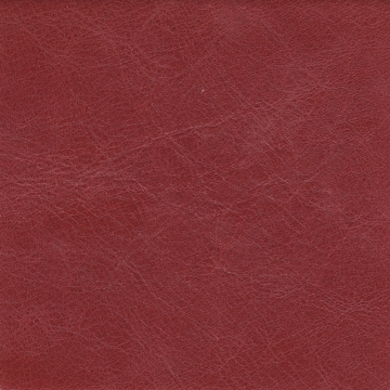 Canova 11