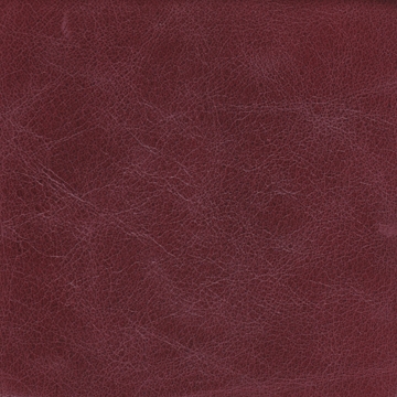 Canova 12