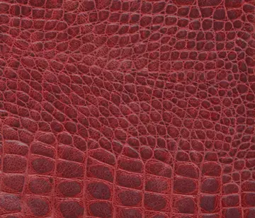 Lapèlle Design - Cayman 02