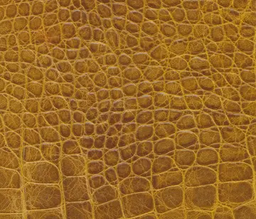 Lapèlle Design - Cayman 04