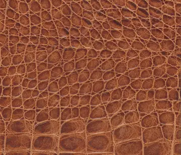 Lapèlle Design - Cayman 05