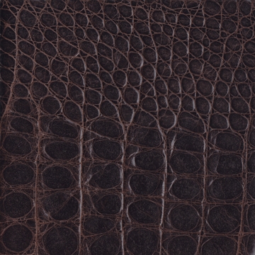 Cayman 09