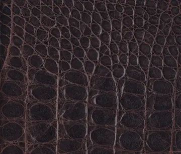 Lapèlle Design - Cayman 09