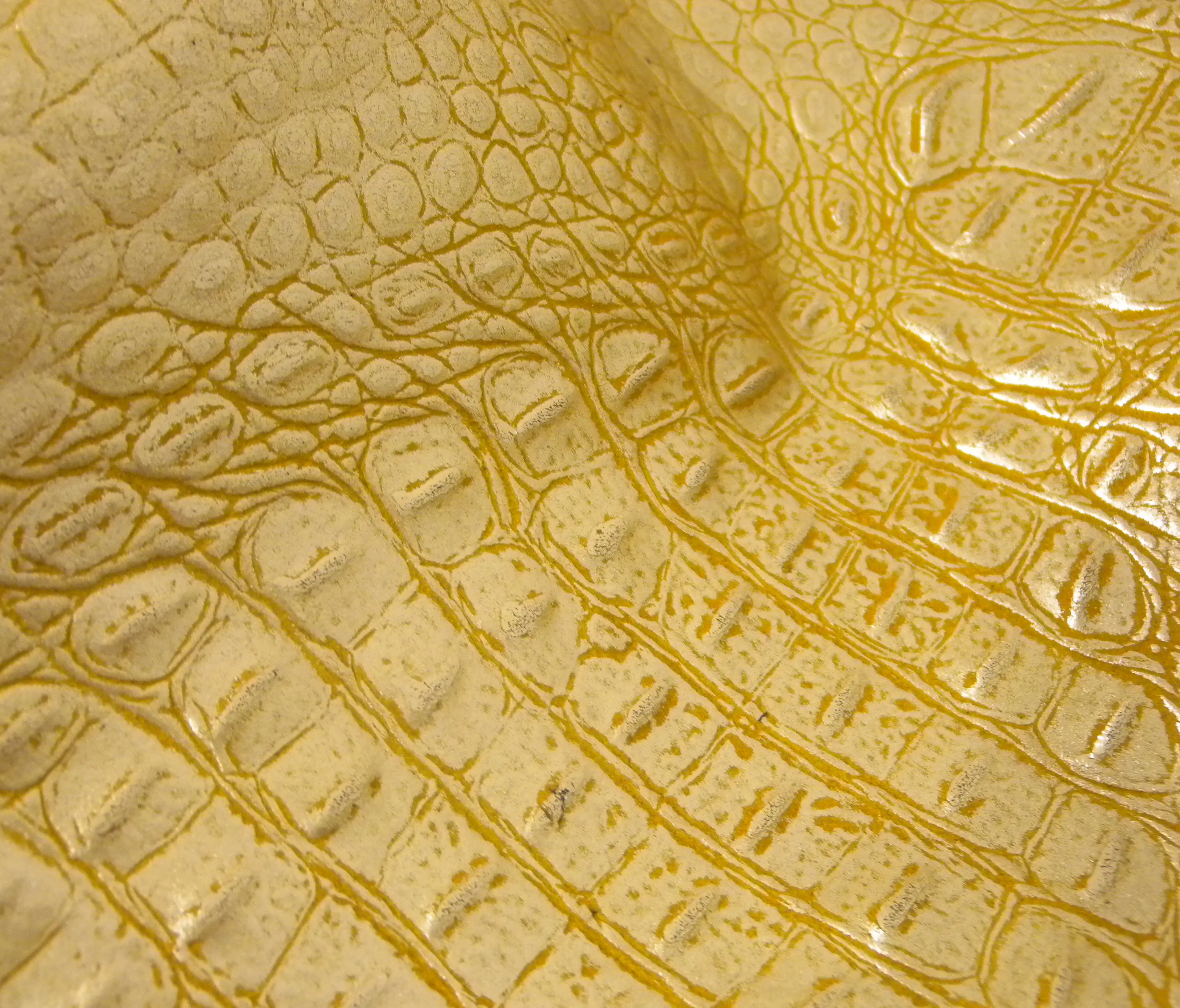 Lapèlle Design - Maya