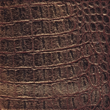 Maya 02
