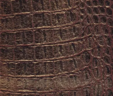 Lapèlle Design - Maya 02