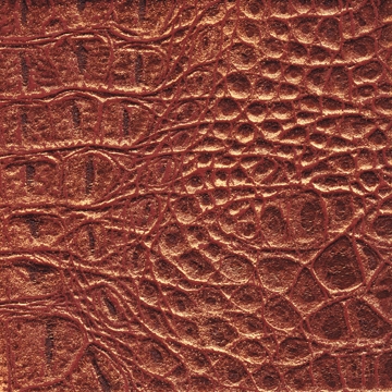 Maya 03
