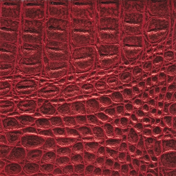 Maya 06