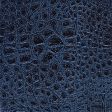 Maya 11