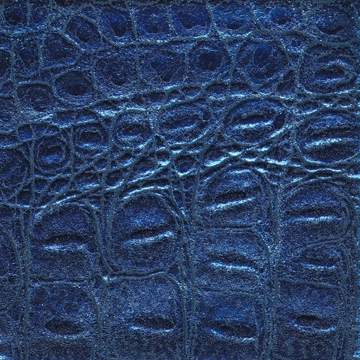 Maya 12