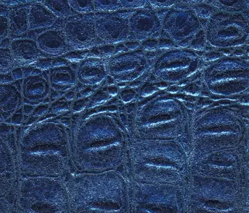 Lapèlle Design - Maya 12