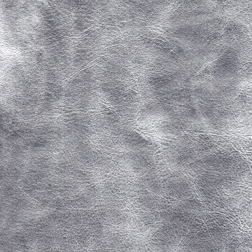 Venus 01