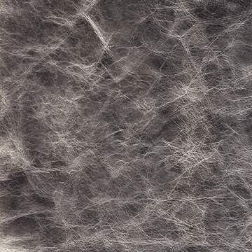 Venus 03