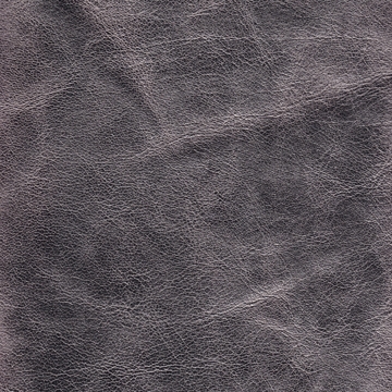 Venus 07