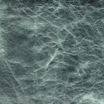 Venus 10