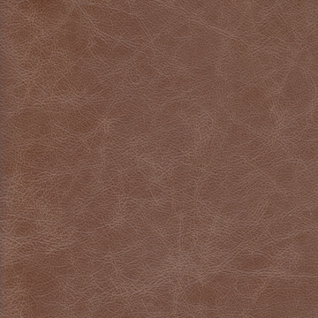 Zeus 01