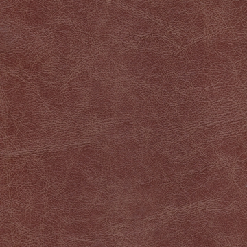Zeus 02
