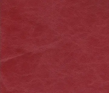 Lapèlle Design - Zeus 05