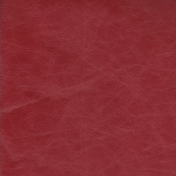 Zeus 05