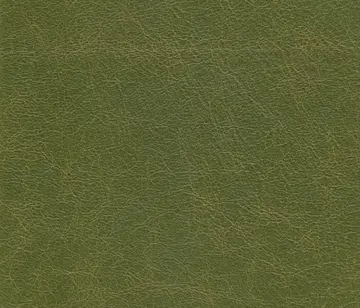 Lapèlle Design - Zeus 09