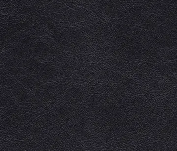 Lapèlle Design - Zeus 12