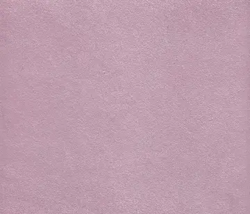 Lapèlle Design - Meissa 10