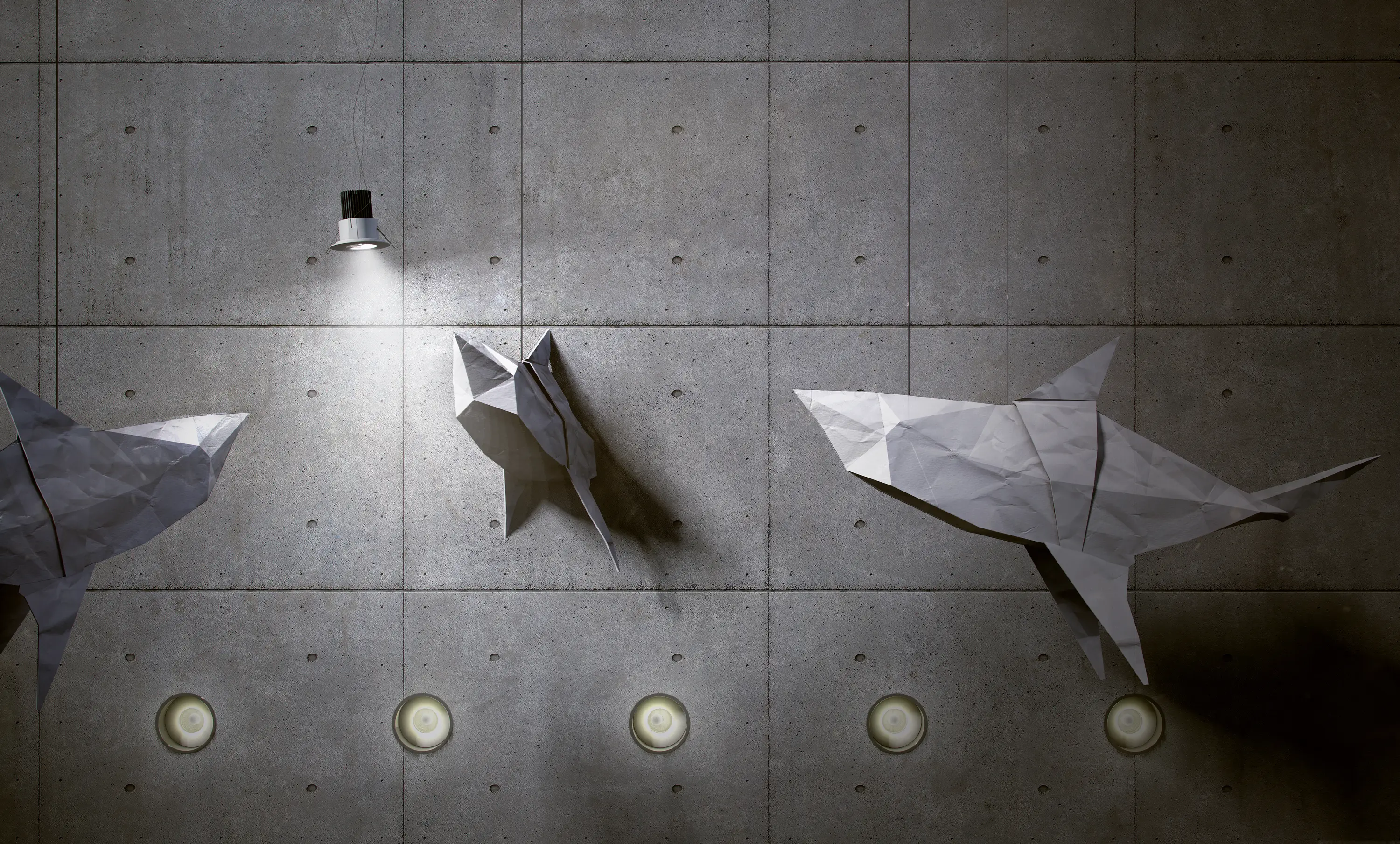 Buzzi & Buzzi - H2Not