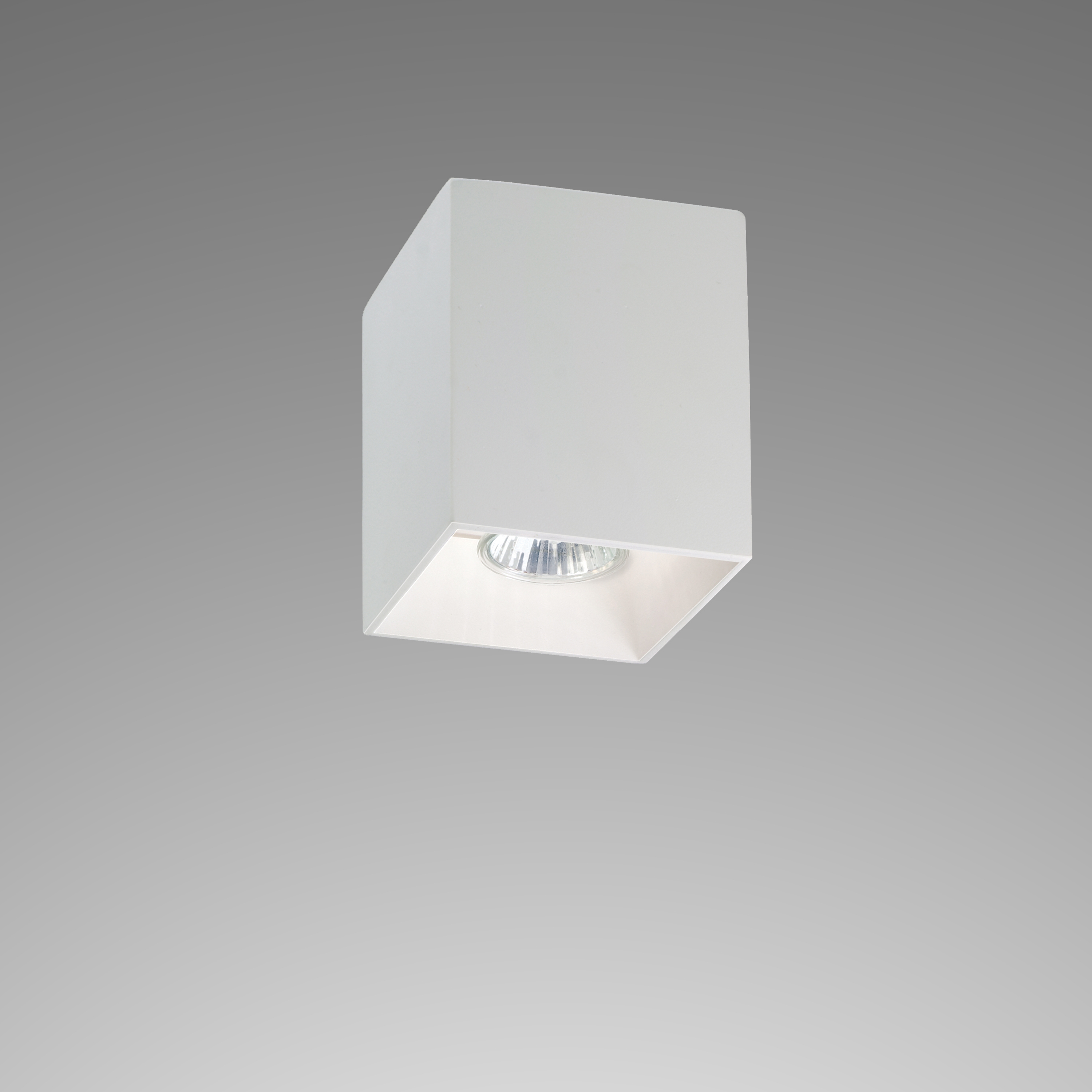 Afficher le produit Versus du fabricant Buzzi & Buzzi