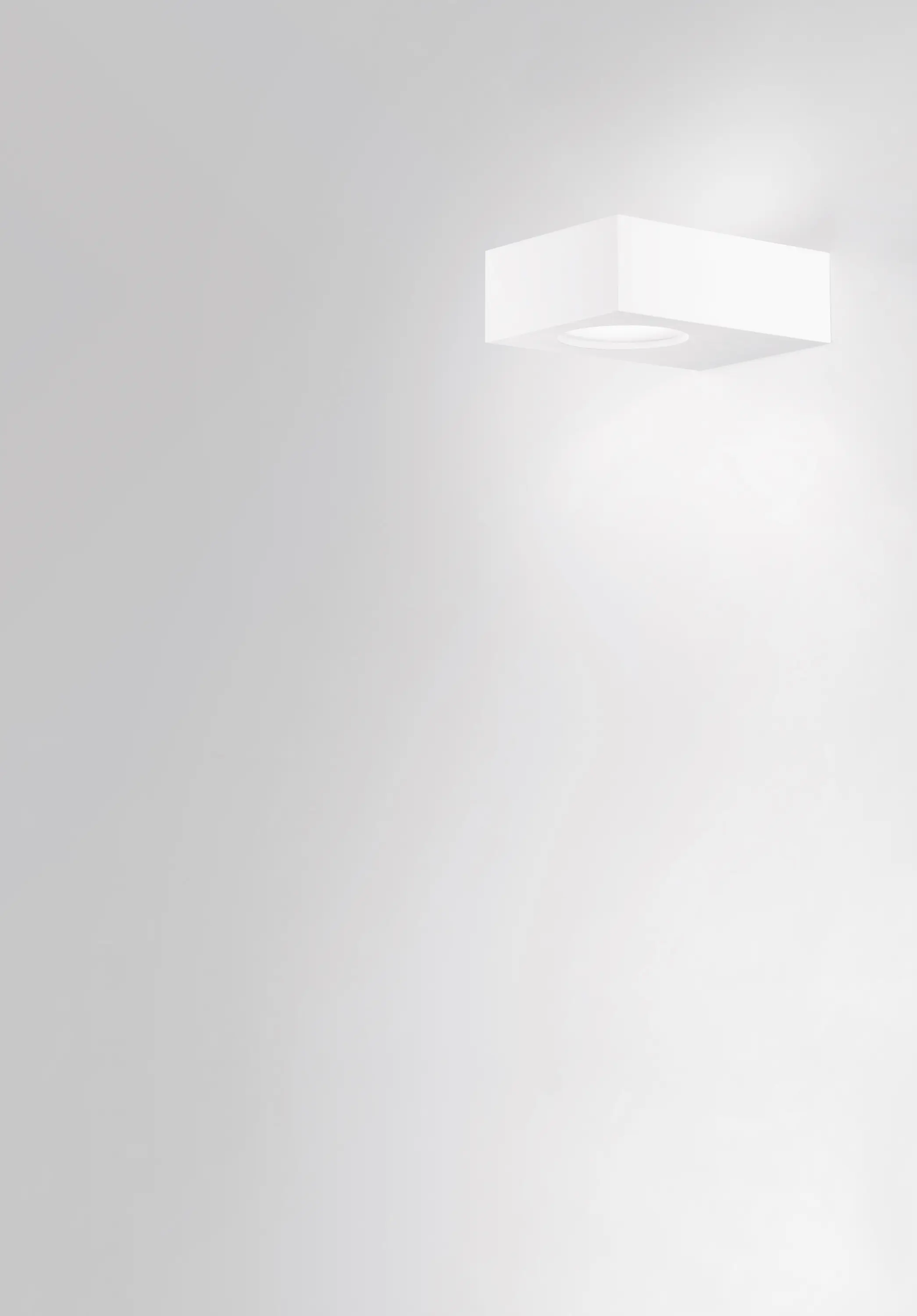 Buzzi & Buzzi - Light Box
