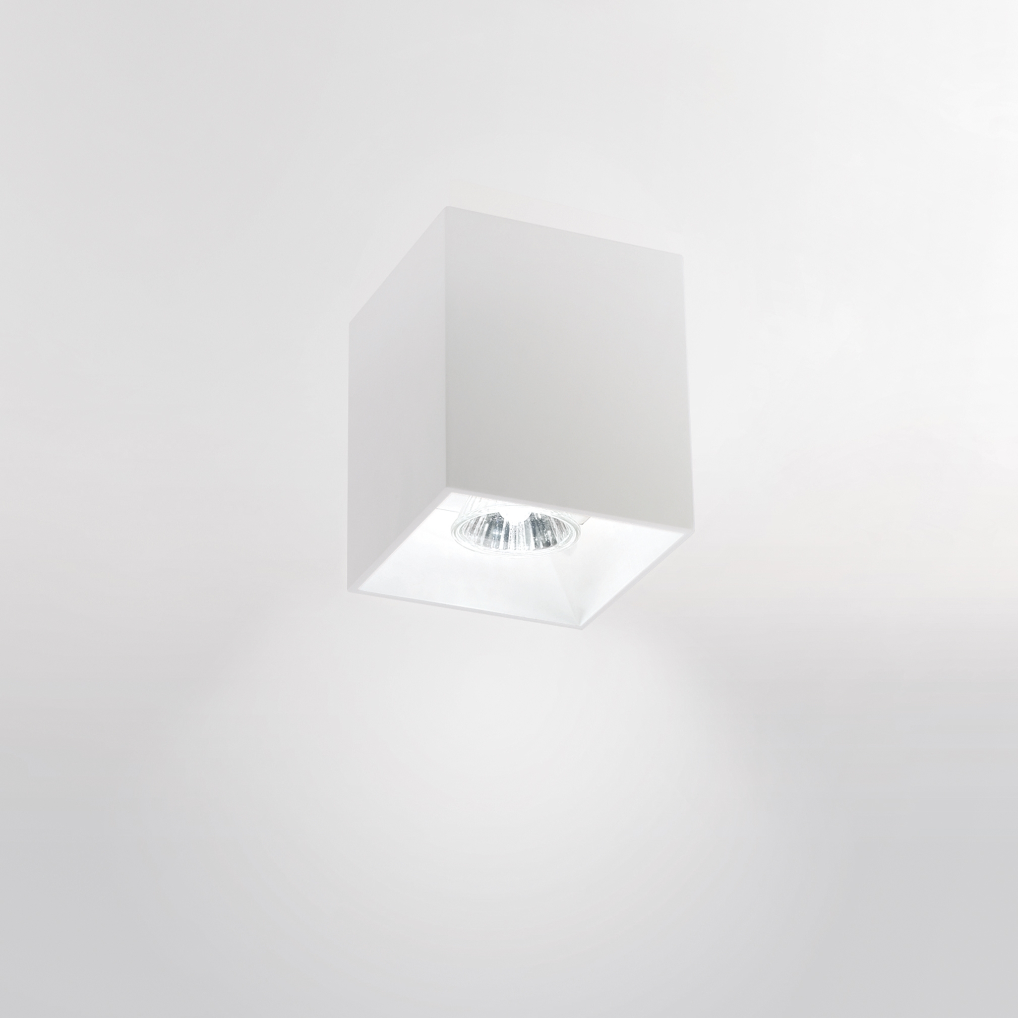 Afficher le produit Star du fabricant Buzzi & Buzzi