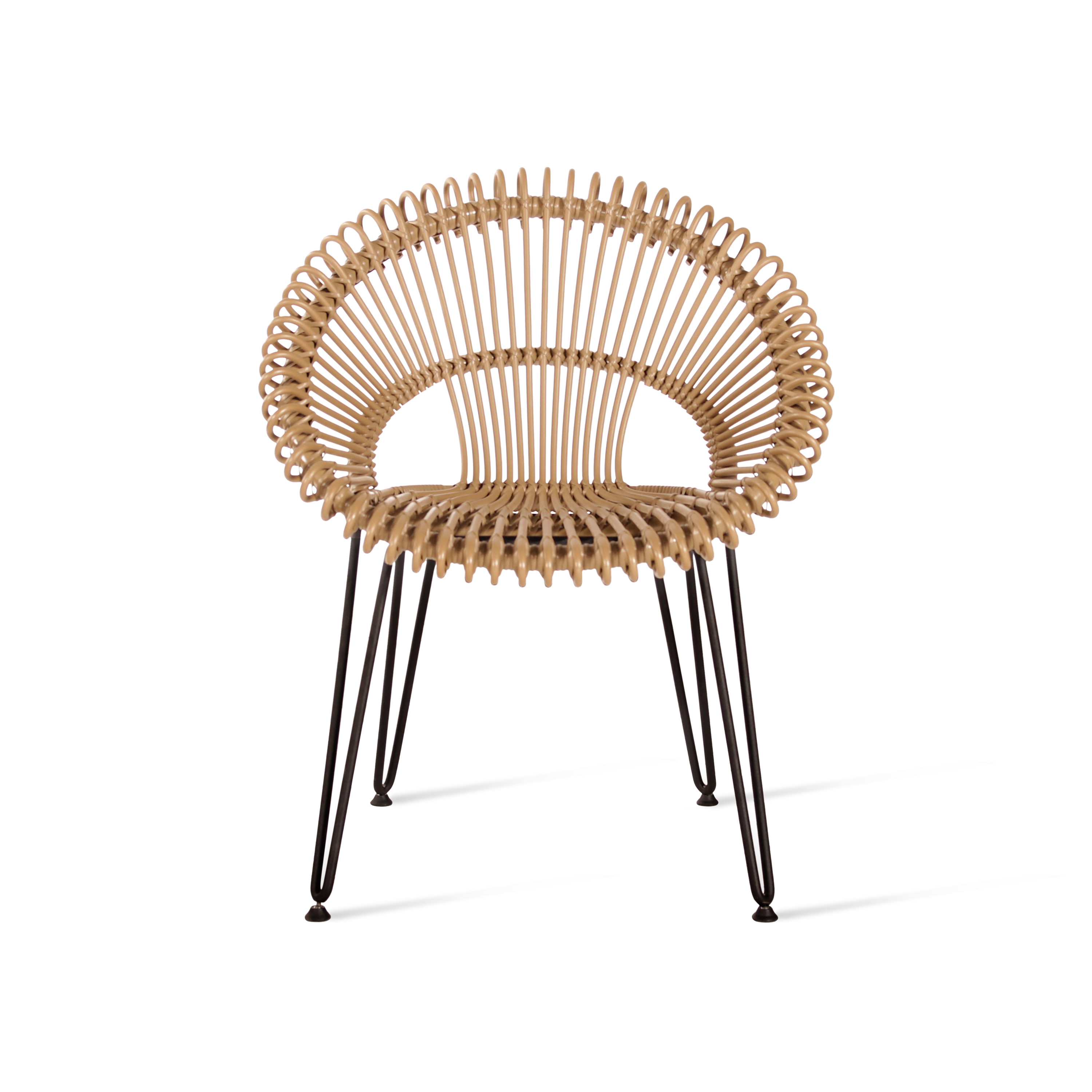 Roy Roxy dining chair