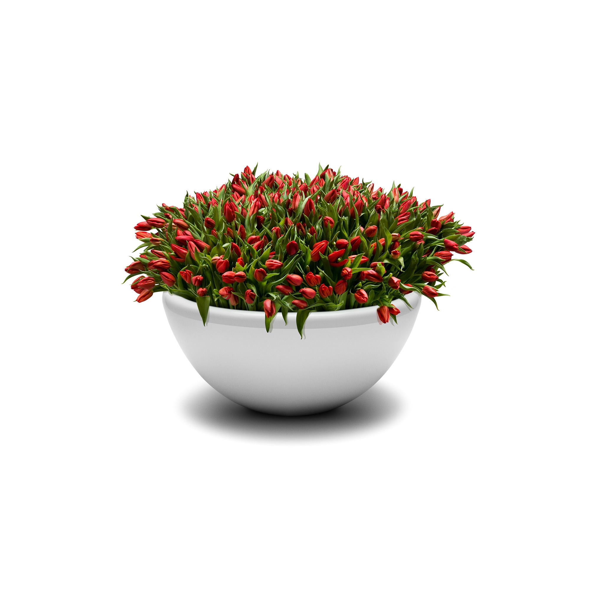 Produkt Union Bench Flowerpot des Herstellers Jangir Maddadi Design Bureau anzeigen