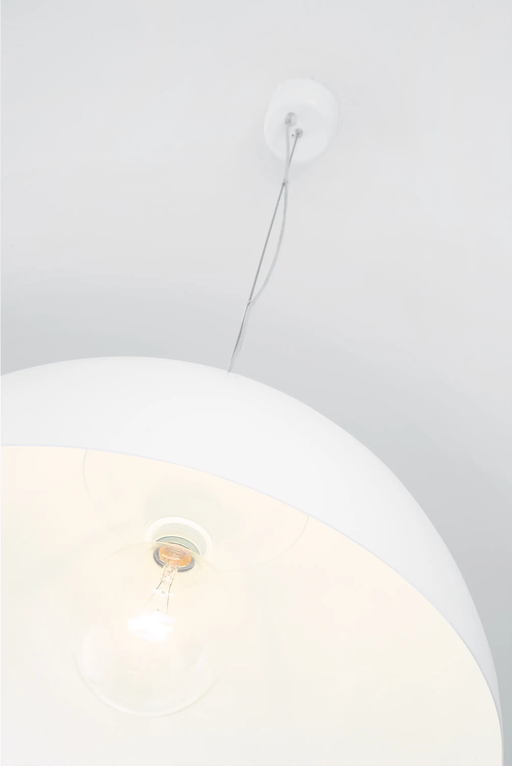 Zava Srl - Amedeo | Wall