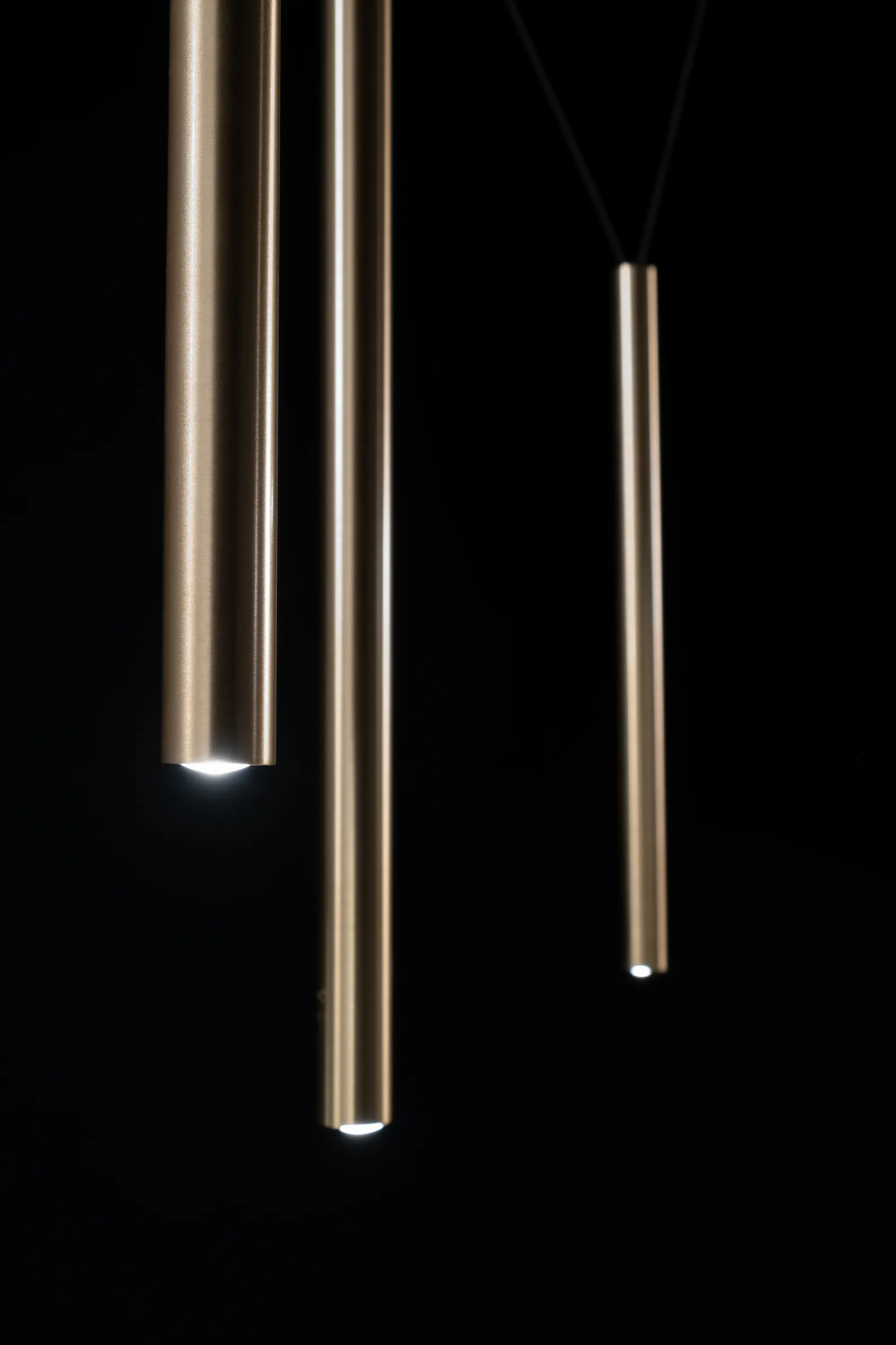 Zava Srl - Bull | Suspension